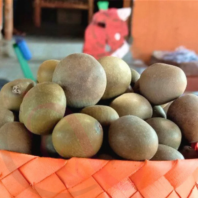 Kalarchikai / FevernutThingal Essentials LLP Kalarchikai / FevernutThingal Essentials LLP