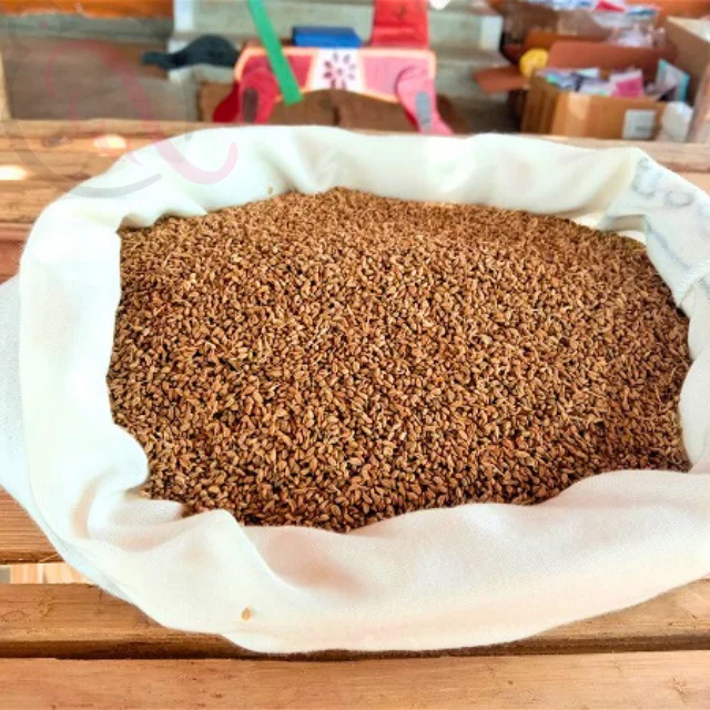 Omam / AjwainThingal Essentials LLP Omam / AjwainThingal Essentials LLP